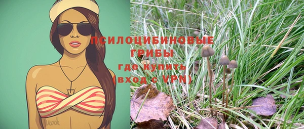 марихуана Абаза