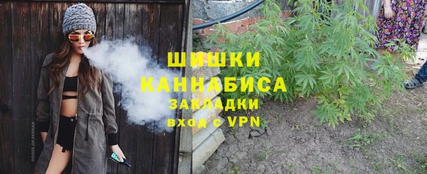 ГАЛЛЮЦИНОГЕННЫЕ ГРИБЫ Алексин