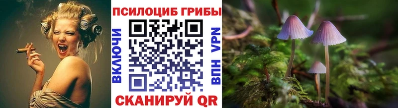 закладка  Тетюши  Галлюциногенные грибы прущие грибы 